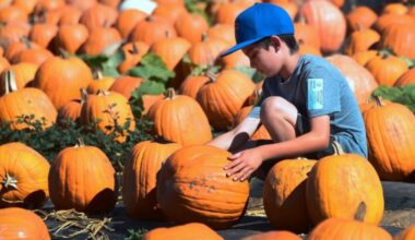 Best things to do this week in Los Angeles and Southern California: Oct. 6 - 9