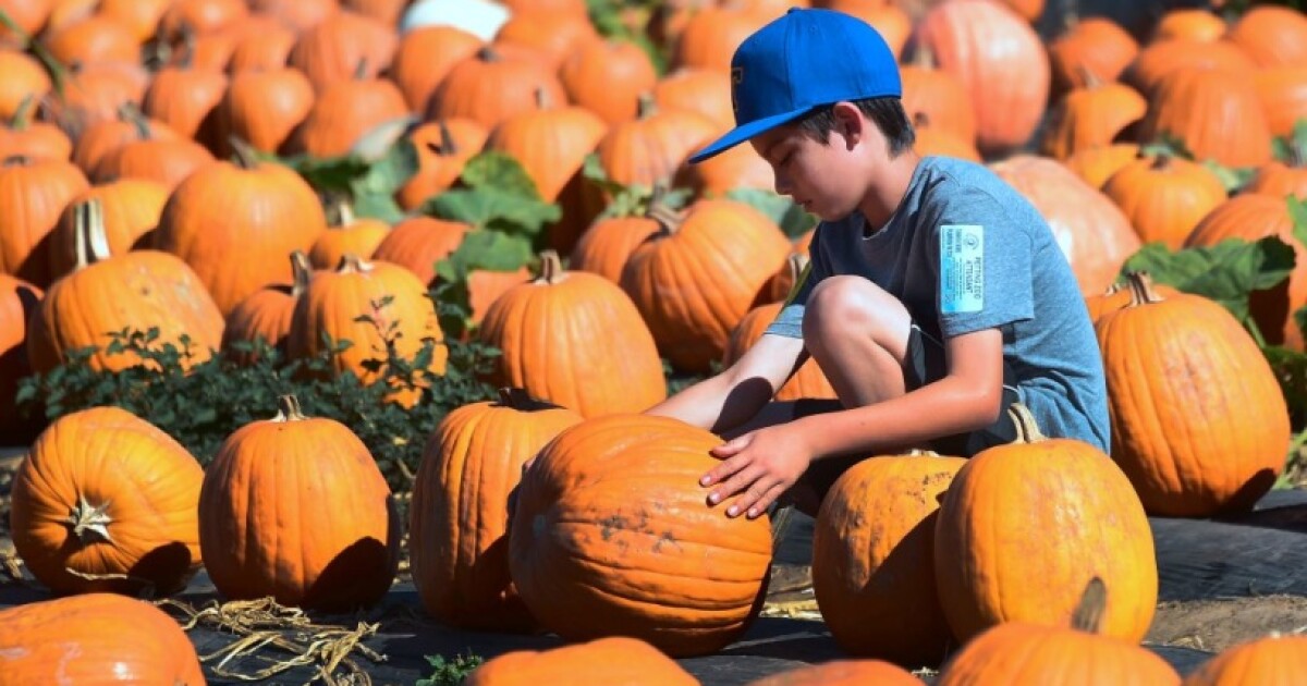 Best things to do this week in Los Angeles and Southern California: Oct. 6 - 9
