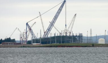 South Carolina utility seeks private partner to revive nuclear power plants