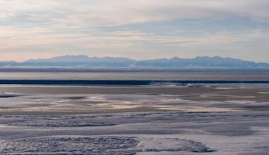Trump administration OKs oil and gas drilling in Alaska wildlife refuge