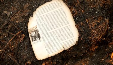 The first drafts of L.A.'s fire nightmare are already being written