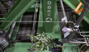 With biomass energy's risks, wind and solar should be prioritized