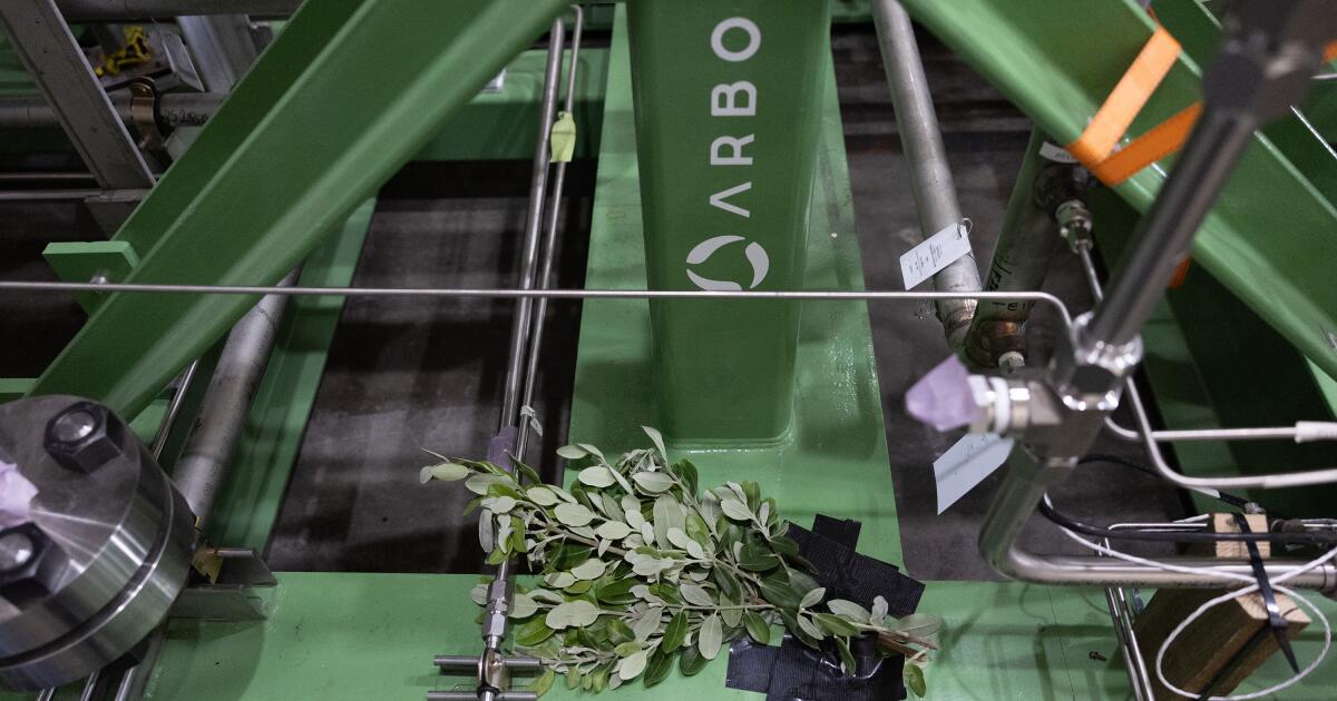 With biomass energy's risks, wind and solar should be prioritized
