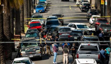 Videos obtained by The Times show ICE raid that left deputy U.S. marshal, TikTok streamer shot