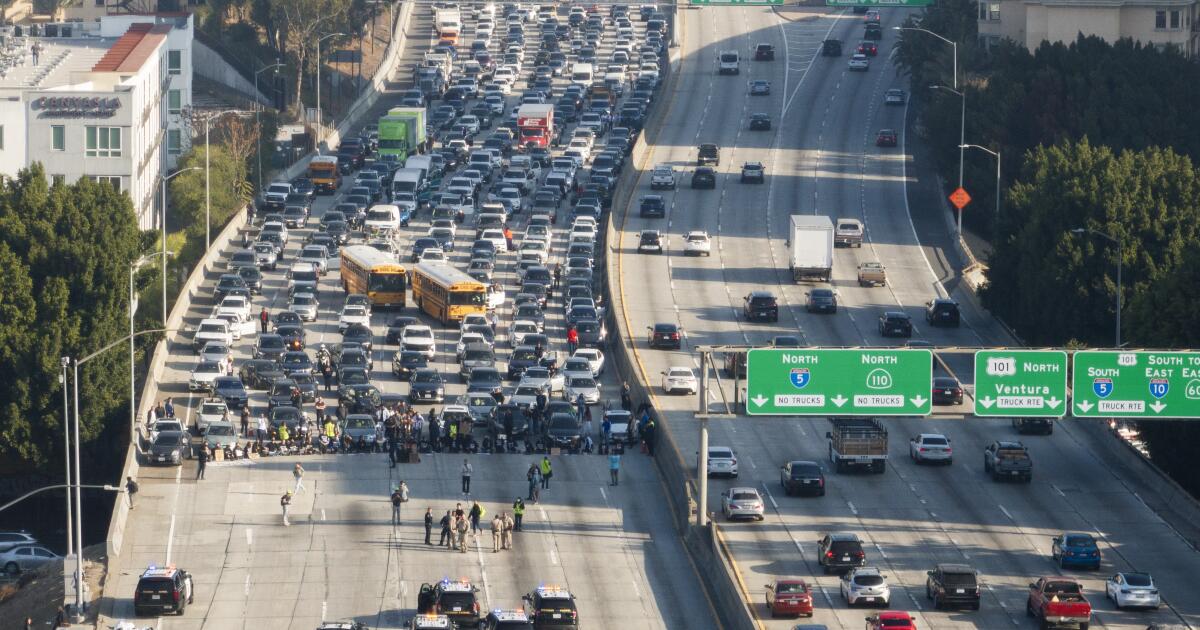 Pro-Palestinian freeway protesters could see charges dropped