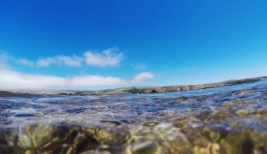 A soul-awakening swimming challenge in the California wild