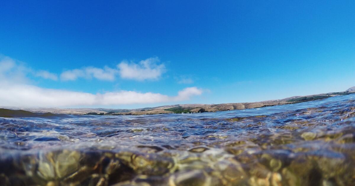A soul-awakening swimming challenge in the California wild