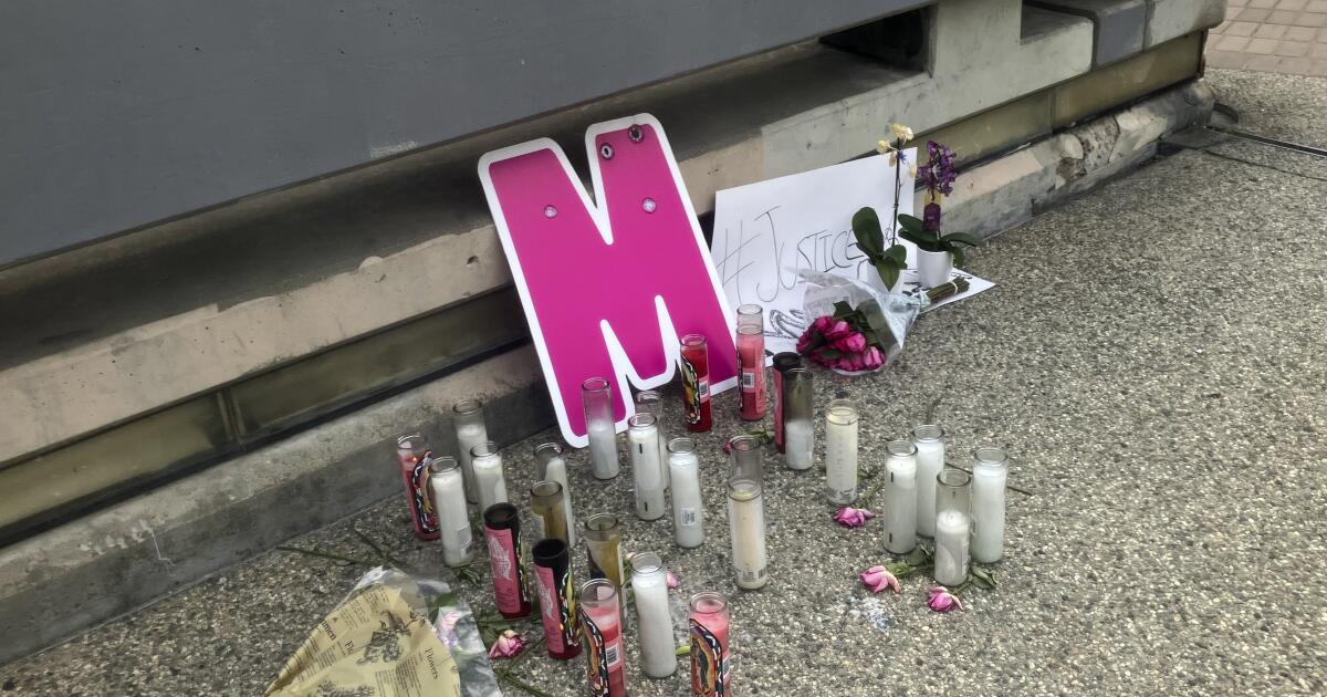 New details emerge in murder of L.A. model found stuffed inside fridge