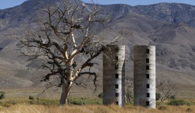 Tribes say L.A.'s pumping of groundwater is drying up Owens Valley