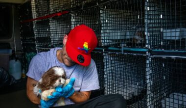 Gov. Newsom signs a slew of new California bills into law