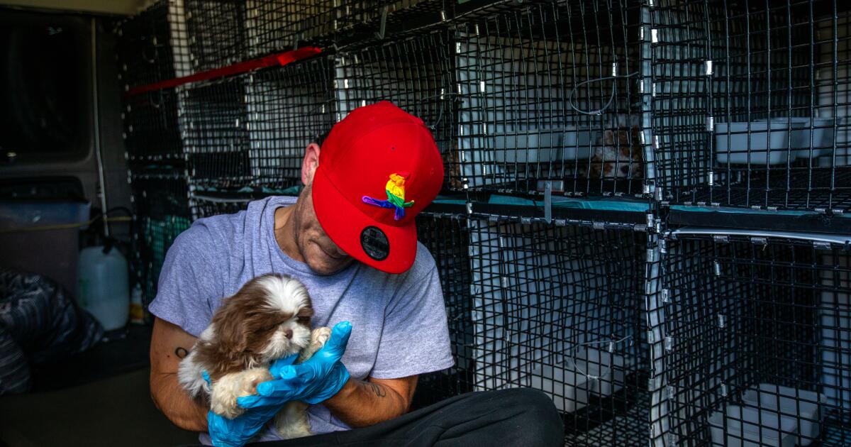 Gov. Newsom signs a slew of new California bills into law