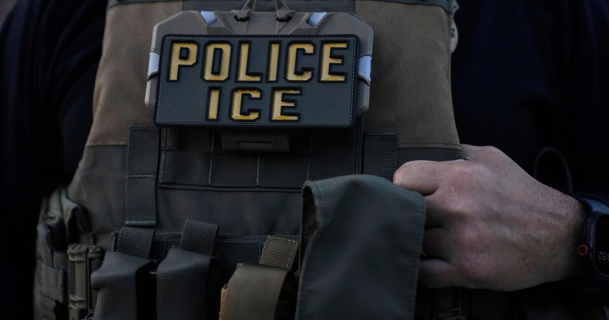 L.A. to host congressional hearing on arrests of U.S. citizens in immigration raids