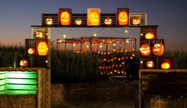 Illuminated pumpkin trail shines bright at Harvest Nights