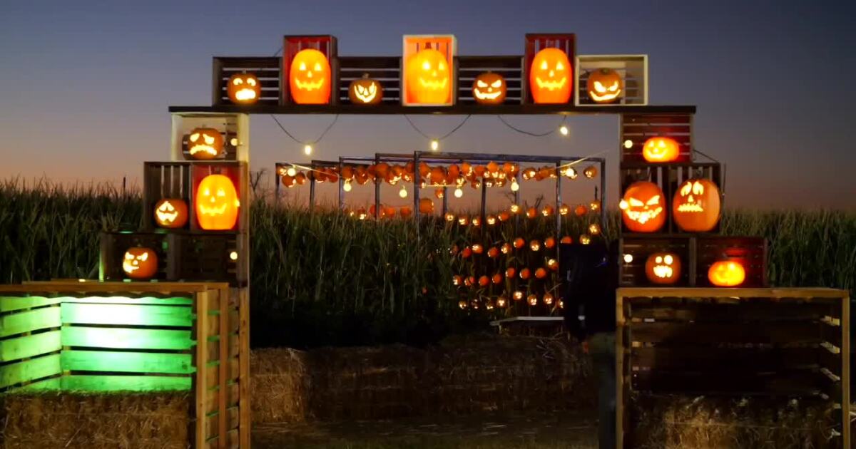 Illuminated pumpkin trail shines bright at Harvest Nights