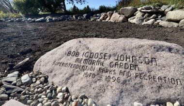Rose Creek tribute to 'Goose' Johnson undergoing overhaul - InForum