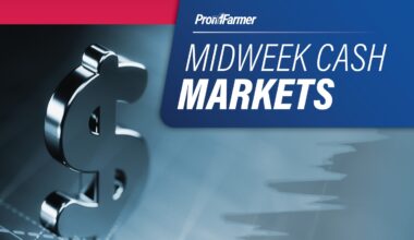 Midweek Cash Markets | National average soybean basis firms slightly