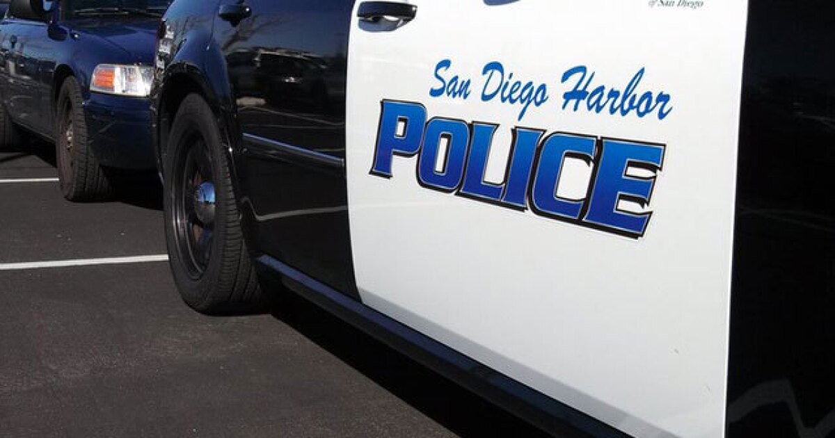 Security guard nearly killed in altercation on San Diego Bay