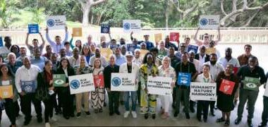 Charity turns to Hawaii for renewable energy solutions - The Royal Gazette