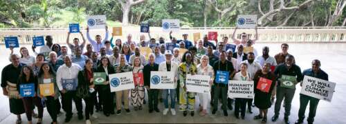 Charity turns to Hawaii for renewable energy solutions - The Royal Gazette