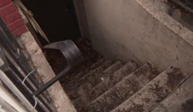 Brooklyn man dies trying to save dogs from flooded basement apartment, neighbors say