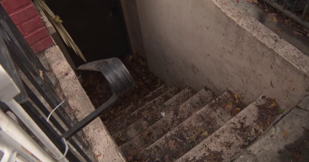 Brooklyn man dies trying to save dogs from flooded basement apartment, neighbors say