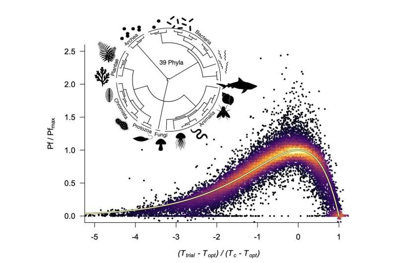 Biological performance across the tree of life collapses onto the Universal Thermal Performance Curve (UTPC). Shown are approx. 30,000 performance measurements derived from seven kingdoms, 39 phyla and 2,710 experiments. Performance is represented by diverse rates including metabolism, individual growth, foraging intensity, voluntary activity, and population growth. Credit: Prof. Nicholas Payne and Prof. Andrew Jackson, Trinity College Dublin. Originally published in PNAS. What goes up must come down – scientists unearth "universal thermal performance curve" that shackles evolution