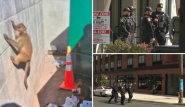 AI-generated monkey hoax had Newark cops going bananas searching for loose primates