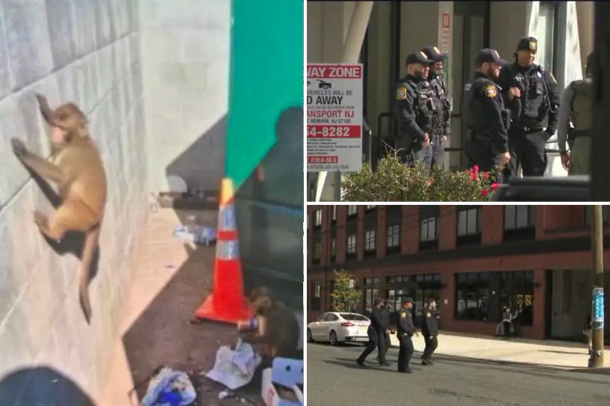 AI-generated monkey hoax had Newark cops going bananas searching for loose primates