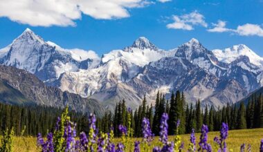 Xinjiang International Photography Contest invites entries - news.cgtn.com