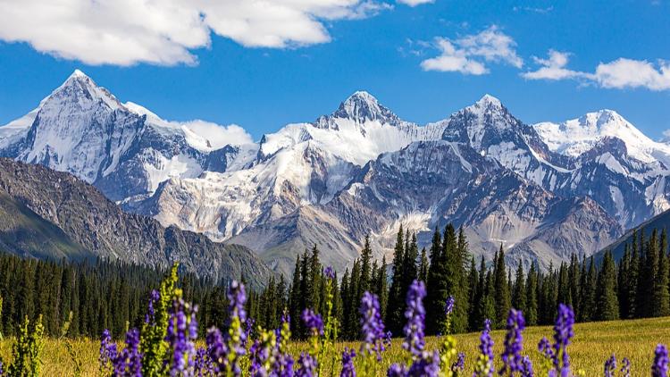Xinjiang International Photography Contest invites entries - news.cgtn.com