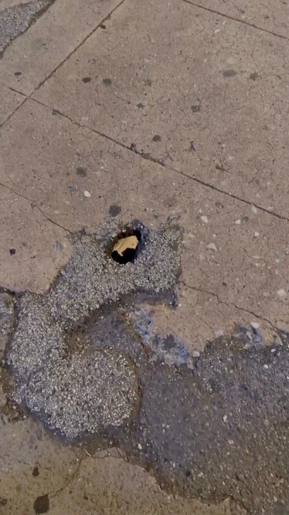 Hole in the NYC street leading to the subway below, labeled 'Special rat express entrance'.