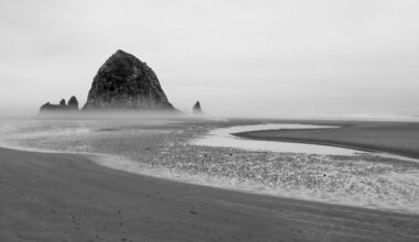 Readers’ wildlife photos – Why Evolution Is True