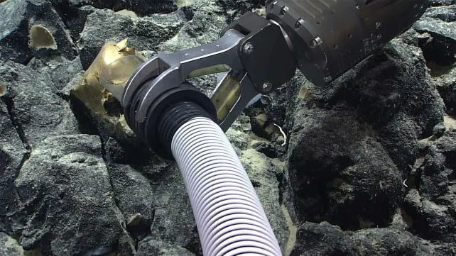 The mystery blob was carefully collected using a suction sampler. (<a href="https://oceanexplorer.noaa.gov/news/oer-updates/2023/golden-orb.html" rel="nofollow noopener" target="_blank" data-ylk="slk:NOAA Ocean Exploration, Seascape Alaska;elm:context_link;itc:0;sec:content-canvas" class="link ">NOAA Ocean Exploration, Seascape Alaska</a>)