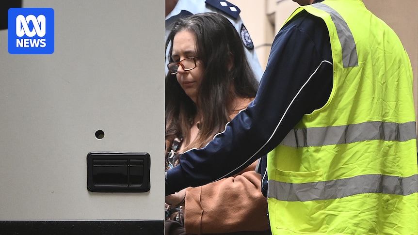 Convicted mushroom murderer Erin Patterson outlines her reasons to appeal