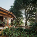 Fig Tree House / Estúdio Lava - Image 2 of 34
