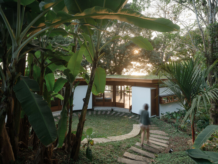 Fig Tree House / Estúdio Lava - Exterior Photography, Wood, Garden