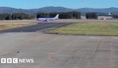 Bear runs onto airport tarmac, halting flights