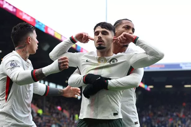 Pedro Neto celebrates.