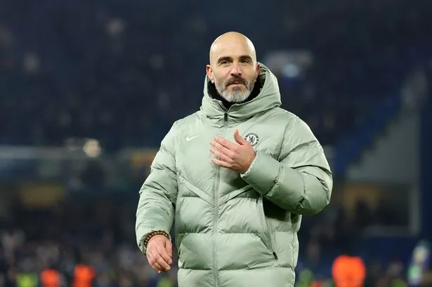 Enzo Maresca celebrates