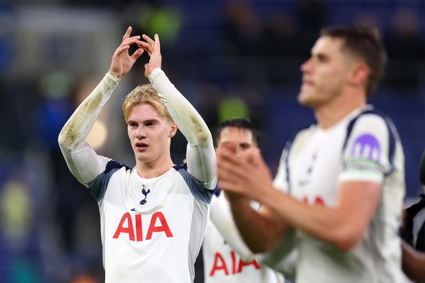 Lucas Bergvall will not feature in Sweden's two World Cup qualifiers against Switzerland and Slovenia