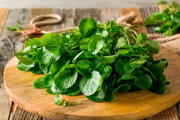 Watercress on a wooden board