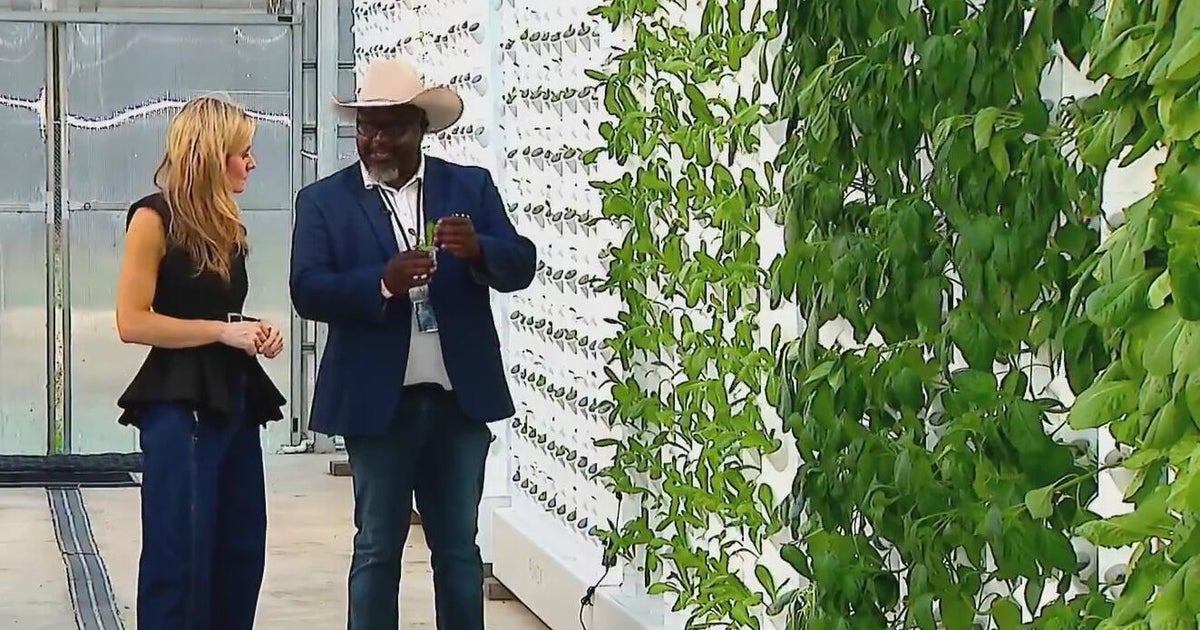 How the Dallas Cowboys prepare for a Thanksgiving meal as big as Texas