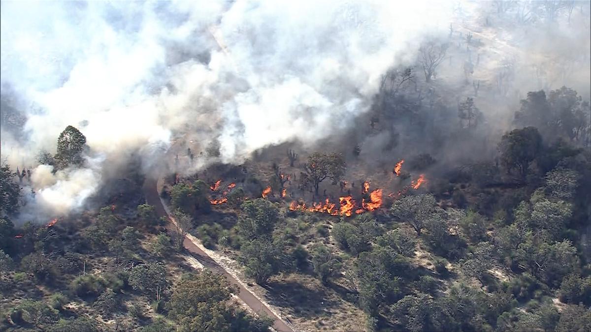 Wireless Hill bushfire: Watch and act warning for residents in Alfred Cove, Ardross, and Booragoon