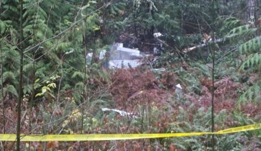 ‘Then there was nothing, just silence:’ pilot killed in early morning plane crash southwest of Nanaimo | NanaimoNewsNOW