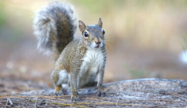 Yahoo lifestyle home