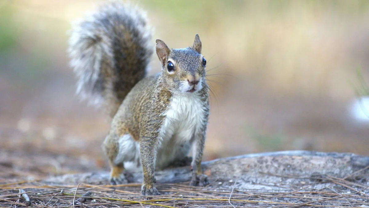 Yahoo lifestyle home