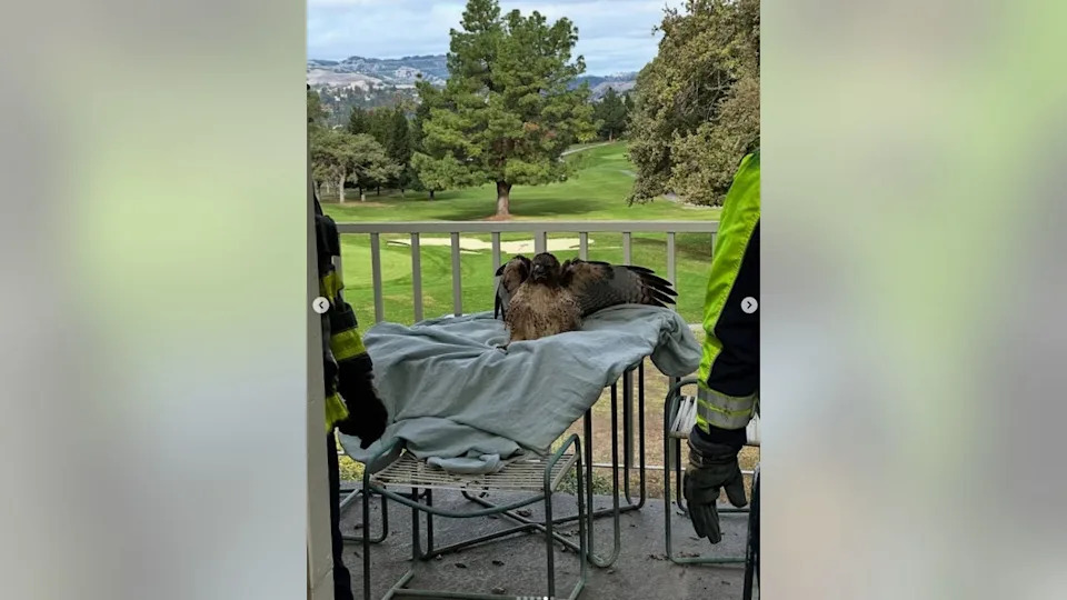 <div>Photos courtesy Contra Costa County Fire Protection District.</div>