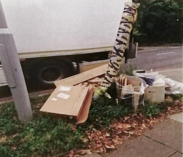 The recycling left on a grass verge near Fiona Muir's London home, which resulted in a hefty fine