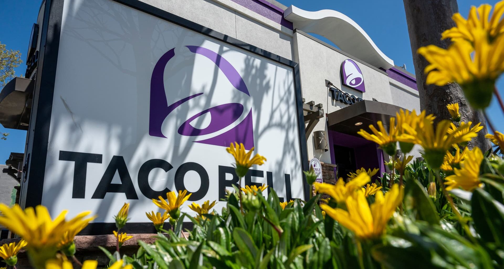 Third-quarter earnings are indicating a divided economy