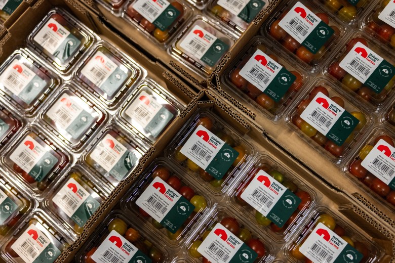 (Maria Crane | Fort Worth Report/CatchLight Local/Report for America)